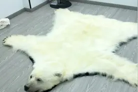北极熊皮毯