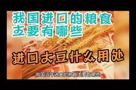 我国进口粮食主要有哪些，进口大豆什么用处视频封面
