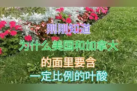 美国和加拿大，面粉里为什么加叶酸，科学家发现了什么视频封面