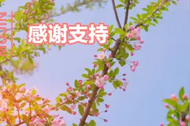 成长就是一个人模仿和拒绝的过程～视频封面