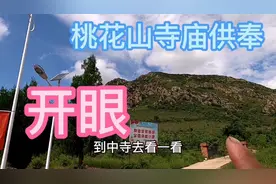 桃花山上有寺庙，看完后百思不解，啥规制，有明白的么视频封面