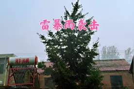 山东济宁泗水，6月26日下午两点雷暴雨来袭，短短几分钟雨水成河视频封面