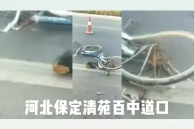 河北保定清苑百中道口，发生车祸，自行车严重变形！视频封面