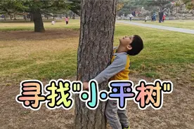 学完课文《植树》,和潇潇一起去天坛寻找"小平树"，小朋友们快来