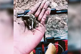 挖掘机挖到宝贝了视频封面