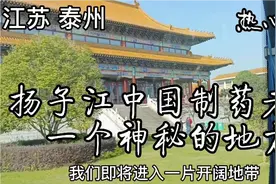 扬子江中国制药老大 一个神秘的地方视频封面