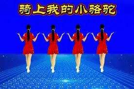 火爆DJ《骑上我的小骆驼》海来阿木唱火了，动感32步好看又好学