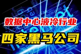 数据中心液冷行业，四家黑马公司！视频封面