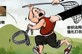 重要提醒：请你不要在不经意中违法！（之三）请勿捕杀私养刺猬！