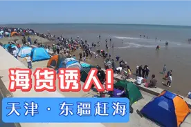 天津东疆海滩游人真多，赶海的收获太诱人，来玩前要知道这几点！视频封面