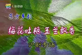 梅花吐艳 玉兰飘香 沪剧五朵金花演唱会视频封面