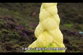 三观很正的励志语录，精挑细选，越读越优秀！