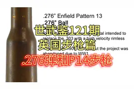 英国步枪十六期丨失败的英国主力步枪项目——.276弹与P14步枪视频封面