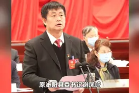 河南省泌阳县:从高万象到谢凤鸣，两任县委书记先后落马