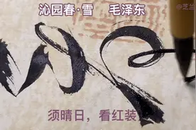 草书创作《沁园春·雪》，毛泽东笔下的北国冰雪壮阔妖娆，大美矣视频封面