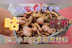 东北特产《红蘑》小鸡炖蘑菇，意外听说还有(狗肉炖王八)这道菜？