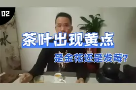 茶叶出现黄点是金花还是发莓？视频封面