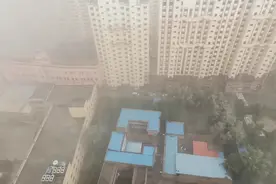 妈呀！好恐怖！视频封面