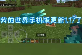 重大消息！我的世界手机版更新1.17啦