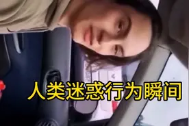 人类迷惑行为，二加三等于多少？视频封面