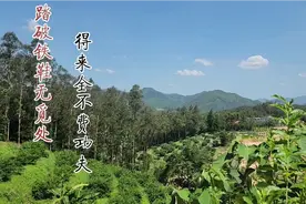 踏破铁鞋无觅处，得来全不费功夫视频封面