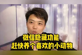 微信最新隐藏功能、可以养不同的小动物、太好玩了、手把手教你