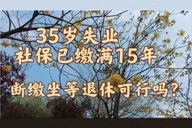 35岁中年失业，社保缴满15年，是否可以断缴坐等退休？如何是好？视频封面