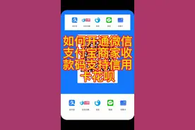 如何开通支付宝微信商户收款码支持信用卡花呗多种支付一码搞定视频封面