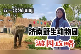 五一济南周边游｜济南章丘野生动物园游园攻略+真实体验吐槽！