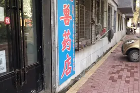 小狗好了又开始抽搐哮喘，只能领他再去兽医店了，死活都不知道呢视频封面