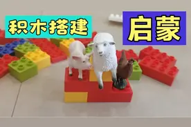 小动物赛跑，两岁宝宝帮忙搭建跑道和领奖台，有趣的积木搭建体验视频封面