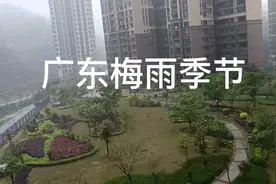梅雨季节到来了，我的抑郁症准备发作了