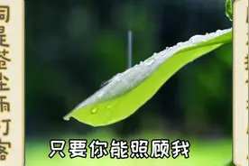 原创诗词，此作品愿风雨中打拼的你我坚强安康顺心，谢谢观看关注视频封面