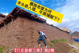 藏族老屋为何 羊头嵌入墙，牛粪铺脚下？
【行走昌都丁青】第4集