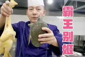 饭店来了位大哥带了条甲鱼，让行政总厨做一道霸王别姬视频封面