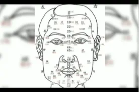 面相学五官详解@DOU+小助手 @中视频伙伴计划官号