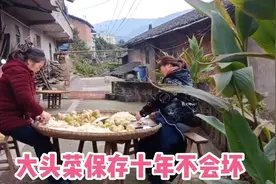 重庆北碚；村民用传统方法做大头菜，保存十年也𣎴坏，放越久越香视频封面