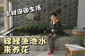农村大妈养花有妙招，锦鲤鱼池水浇花越浇越旺，几十种花你认识吗视频封面
