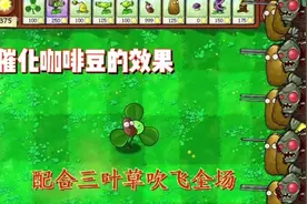 植物大战僵尸:催化咖啡豆的强劲效果