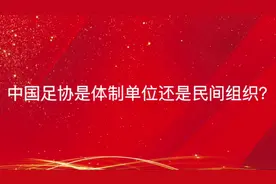 中国足协是体制单位还是民间组织？