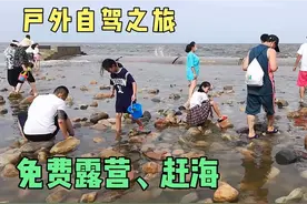 免费海边游玩距离保定三个小时路程，能露营能赶海拾贝，亲海公园