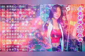 年最劲爆的DJ歌曲.15首《寂寞的城傷心的人》《全世界只有一個你