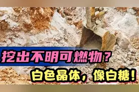 工地挖机发现不明可燃物，没人知道是什么，白色晶体，像白糖一样视频封面