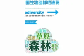 中国生物多样性速览#生物多样性#智慧林业物联网#生态环境保护@森视频封面