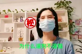有宠物的没宠物的知道为什么遛狗不遛猫吗#宠物#