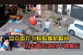 盘点监控下的惊险尴尬瞬间，午休时家里来了不明生物，太吓人了！视频封面