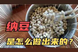 纳豆的功效，润肠通便，调节血糖，溶解血栓，调节血脂，排毒养颜