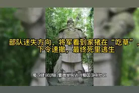 部队迷失方向，将军看到家猪在“吃草”，下令速撤，最终死里逃生视频封面