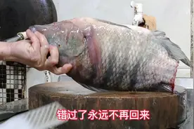 广东顺德和广西横县，都有鱼生之乡的说法，那么谁是鱼生王中之王