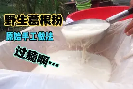 野生葛根粉 医用功效 高血压 低血压 体寒 胃寒调节 更是儿时零食视频封面